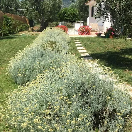 Sul Mare Apartmán Mattinata