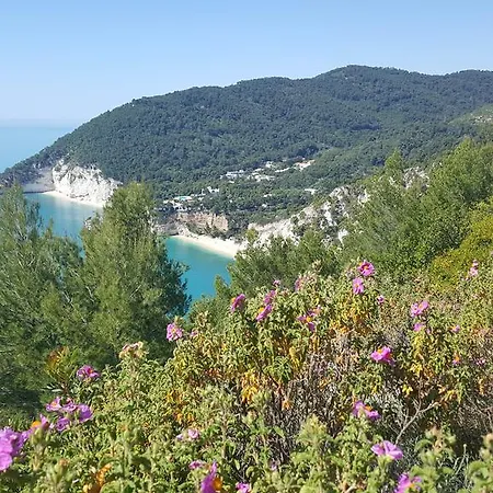 Apartamento Sul Mare Mattinata