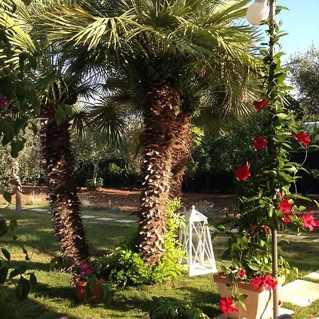 Apartmán Sul Mare Mattinata